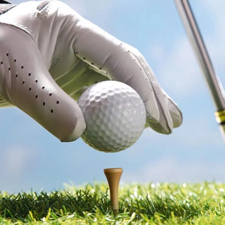 Professional Golf Ball