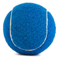 Pet Ball Toy - Dog Fetching Tennis Ball