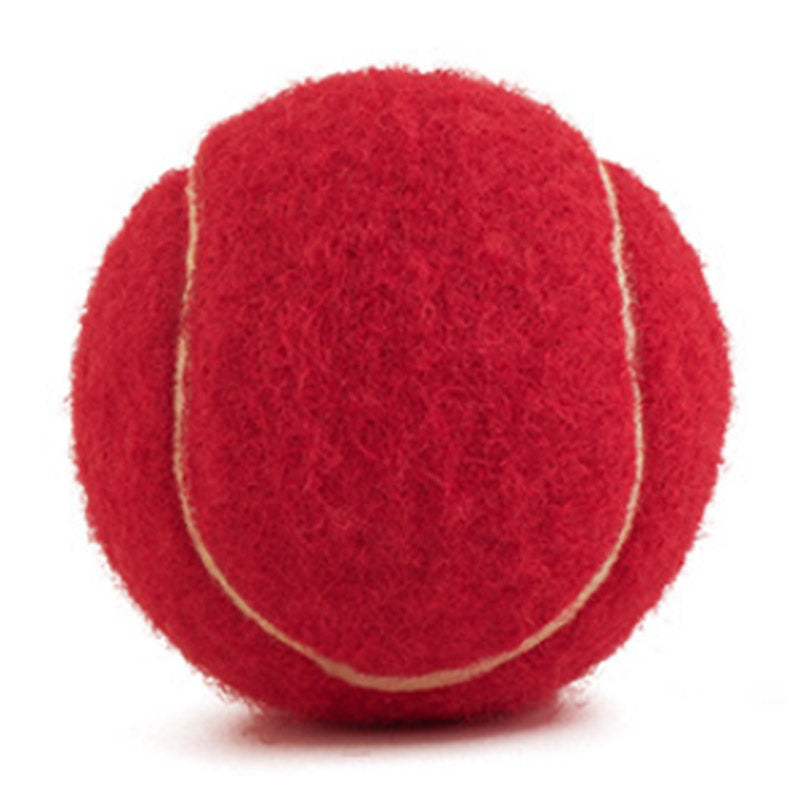 Pet Ball Toy - Dog Fetching Tennis Ball